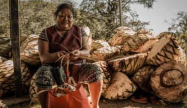 Las hijas del Maguey